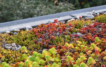 the cost of Weasenham All Saints green roof installation