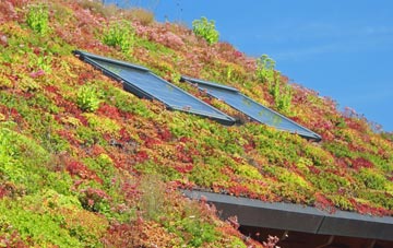 Weasenham All Saints living roof systems
