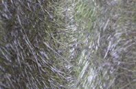 Weasenham All Saints fibreglass roof work